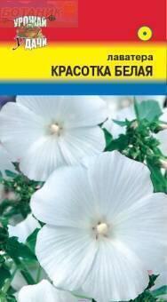 Купить оптом в Ботанике семена Лаватера Красотка белая УУ бренд Урожай Удачи