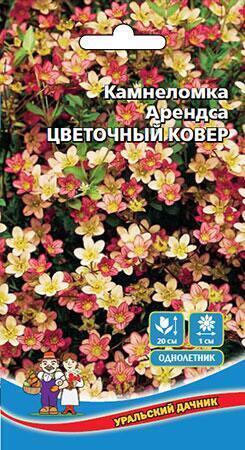 Купить оптом в Ботанике семена Камнеломка Цветочный ковер арендса УД бренд Уральский дачник