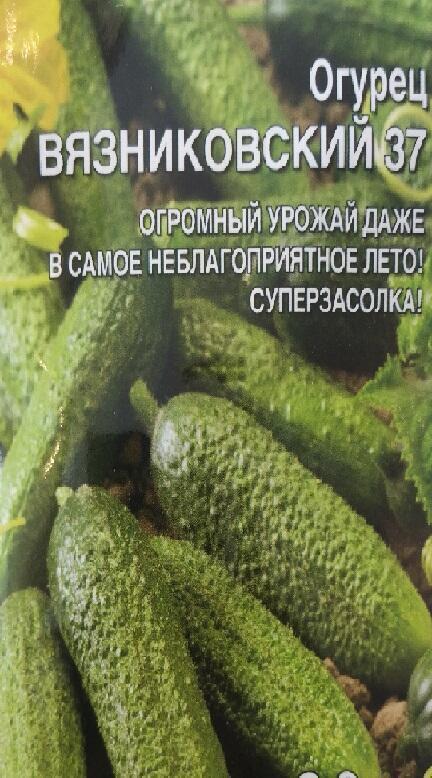 Купить оптом в Ботанике семена Огурец Вязниковский 37 Мар бренд Марс