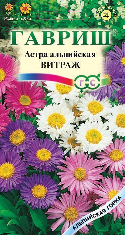Купить оптом в Ботанике семена Астра Витраж альпийская Гав бренд Гавриш