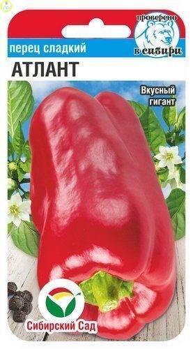 Купить оптом в Ботанике семена Перец Атлант СС бренд Сиб.сад