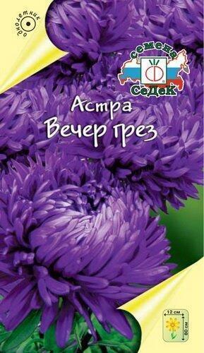 Купить оптом в Ботанике семена Астра Вечер грез Сед бренд СеДеК