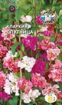 Купить оптом в Ботанике семена Кларкия Спутница изящная Сед бренд СеДеК