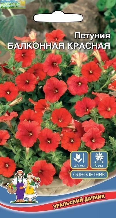 Купить оптом в Ботанике семена Петуния Балконная красная УД бренд Уральский дачник