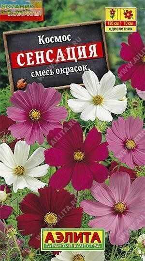Купить оптом в Ботанике семена Космос Сенсация Аэл бренд Аэлита