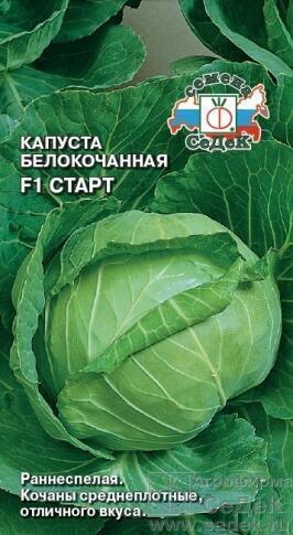 Купить оптом в Ботанике семена Капуста белокочанная Старт F1 Сед бренд СеДеК