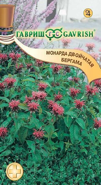 Купить оптом в Ботанике семена Монарда Бергама Гав бренд Гавриш