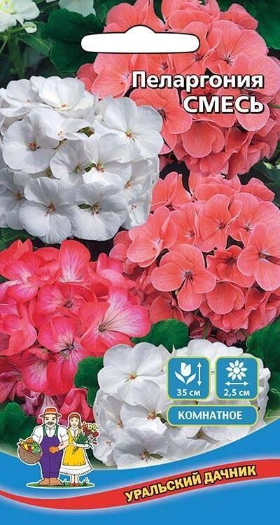 Купить оптом в Ботанике семена Пеларгония Смесь УД бренд Уральский дачник