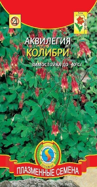 Купить оптом в Ботанике семена Аквилегия Колибри Плз бренд Плазмас