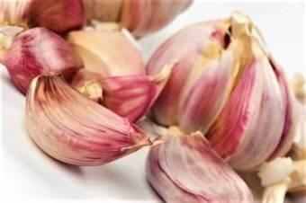 Чеснок озимый Любаша