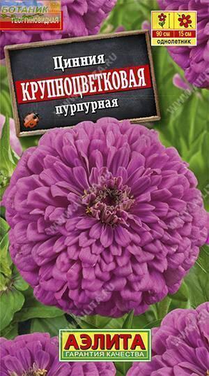 Купить оптом в Ботанике семена Цинния Крупноцветковая пурпурная Аэл бренд Аэлита