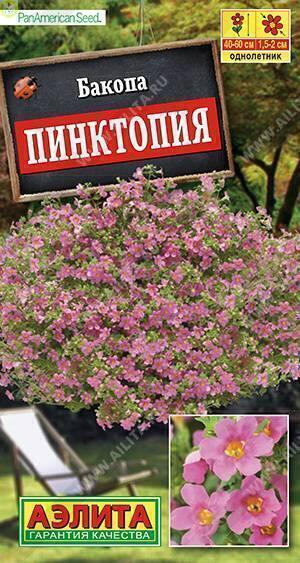 Купить оптом в Ботанике семена Бакопа Пинктопия Аэл бренд Аэлита