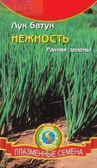 Купить оптом в Ботанике семена Лук батун Нежность Плз бренд Плазмас