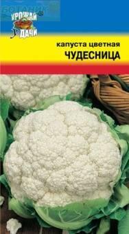 Купить оптом в Ботанике семена Капуста цветная Чудесница УУ бренд Урожай Удачи