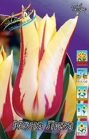Купить оптом в Ботанике Тюльпан Мона Лиза 10 шт