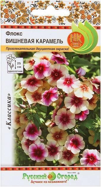 Купить оптом в Ботанике семена Флокс Вишневая Карамель однолетний НК бренд НК