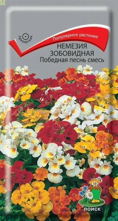 Купить оптом в Ботанике семена Немезия Победная песнь смесь Поиск бренд Поиск
