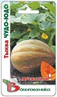 Купить оптом в Ботанике семена Тыква Чудо Юдо мускатная Био бренд Биотехника