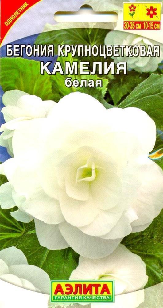 Купить оптом в Ботанике семена Бегония Камелия белая крупноцветковая Аэл бренд Аэлита