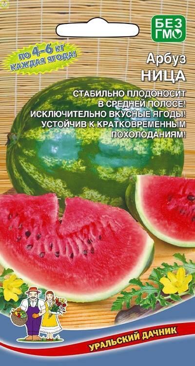 Купить оптом в Ботанике семена Арбуз Ница УД бренд Уральский дачник