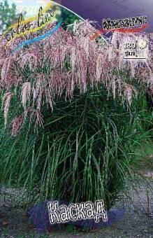 Купить оптом в Ботанике Мискантус Каскад 2  шт