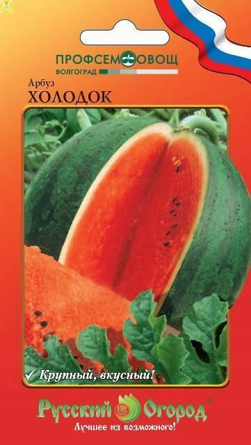 Купить оптом в Ботанике семена Арбуз Холодок НК бренд НК