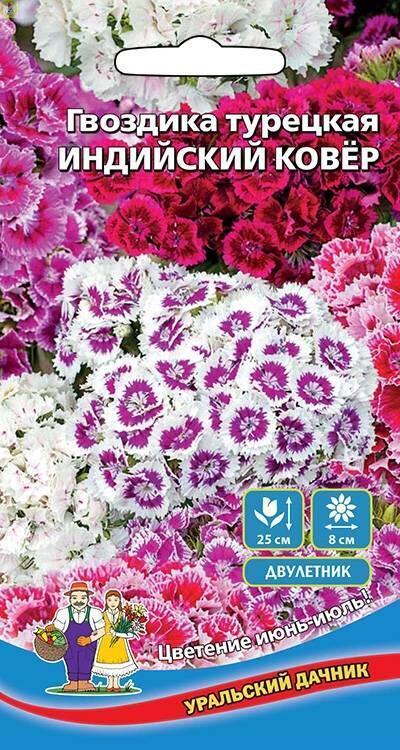 Купить оптом в Ботанике семена Гвоздика турецкая Индийский ковер УД бренд Уральский дачник