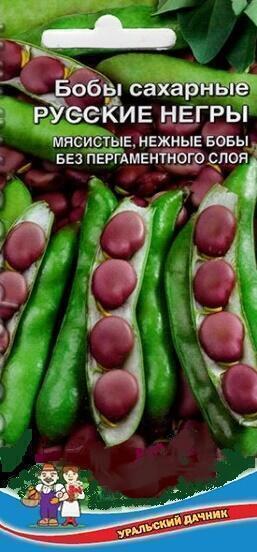 Купить оптом в Ботанике семена Бобы Русские негры УД бренд Уральский дачник