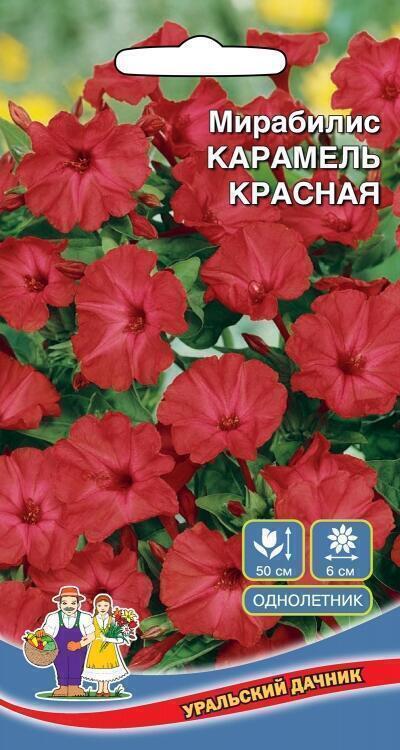 Купить оптом в Ботанике семена Мирабилис Карамель красная УД бренд Уральский дачник