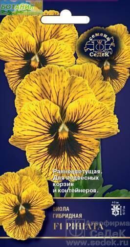 Купить оптом в Ботанике семена Виола Рената F1 Сед бренд СеДеК