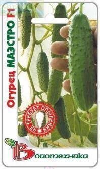 Купить оптом в Ботанике семена Огурец Маэстро F1 Био бренд Биотехника
