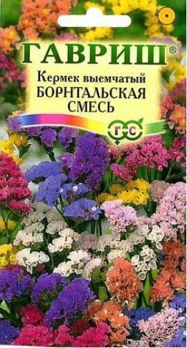 Купить оптом в Ботанике семена Кермек Борнтальская смесь Гав бренд Гавриш