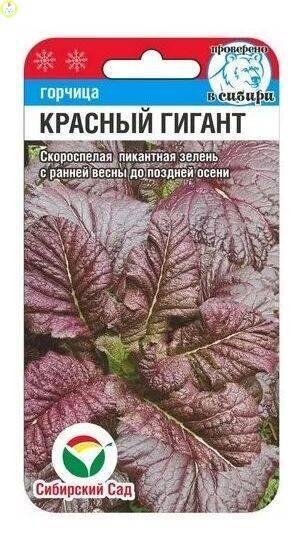 Купить оптом в Ботанике семена Горчица Красный гигант СС бренд Сиб.сад