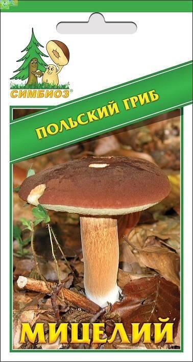 Купить оптом в Ботанике семена Польский гриб Сим бренд НПМЛ СИМБИОЗ
