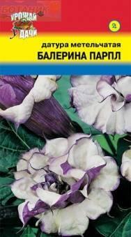 Купить оптом в Ботанике семена Датура Балерина парпл метельчатая УУ бренд Урожай Удачи