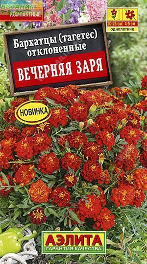 Купить оптом в Ботанике семена Бархатцы Вечерняя заря отклоненные Аэл бренд Аэлита