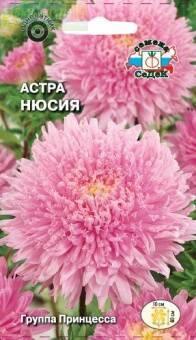 Купить оптом в Ботанике семена Астра Нюсия принцесса Сед бренд СеДеК