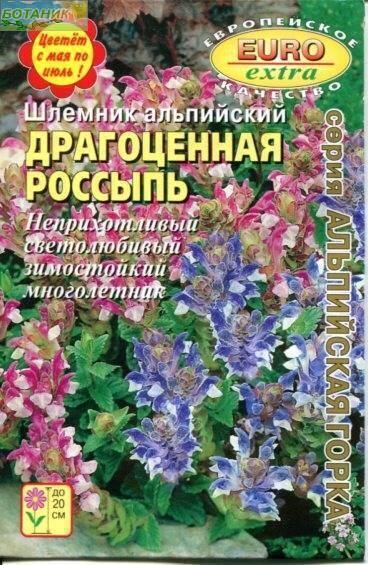 Купить оптом в Ботанике семена Шлемник Драгоценная россыпь альпийский Аэл бренд Аэлита
