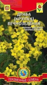 Купить оптом в Ботанике семена Драба (крупка) Вечнозеленая Плз бренд Плазмас