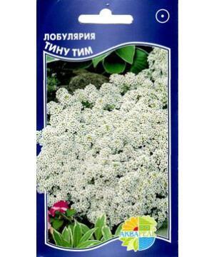 Купить оптом в Ботанике семена Лобулярия (алиссум) Тину Тим Акв бренд Акварель