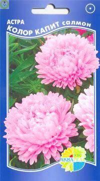 Купить оптом в Ботанике семена Астра Колор капит салмон Акв бренд Акварель