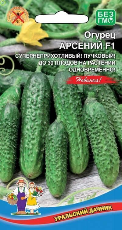 Купить оптом в Ботанике семена Огурец Арсений F1 УД бренд Уральский дачник