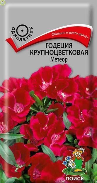 Купить оптом в Ботанике семена Годеция Метеор Поиск бренд Поиск