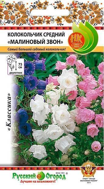 Купить оптом в Ботанике семена Колокольчик Малиновый звон НК бренд НК