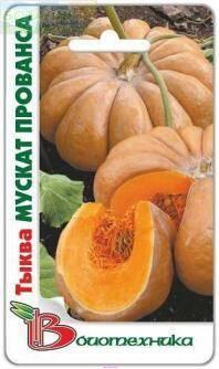 Купить оптом в Ботанике семена Тыква Мускат Прованса Био бренд Биотехника