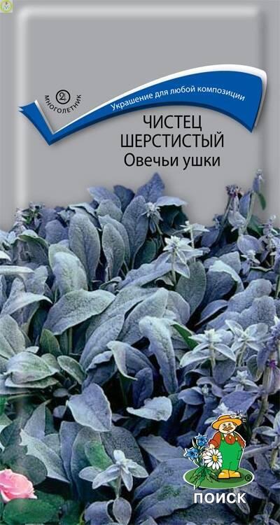 Купить оптом в Ботанике семена Чистец шерстистый Овечьи ушки Поиск бренд Поиск