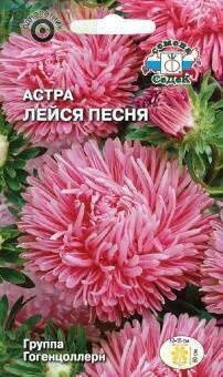 Купить оптом в Ботанике семена Астра Лейся песня Сед бренд СеДеК