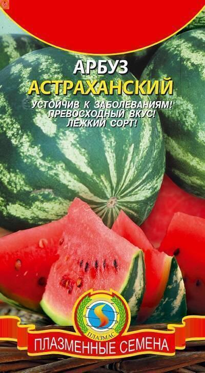 Купить оптом в Ботанике семена Арбуз Астраханский Плз бренд Плазмас
