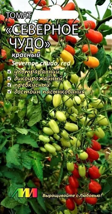 Купить оптом в Ботанике семена Томат Северное чудо Мз бренд Мязина Л.А.