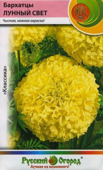 Купить оптом в Ботанике семена Бархатцы Лунный свет НК бренд НК